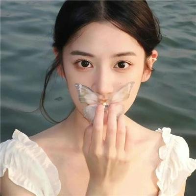 八美图